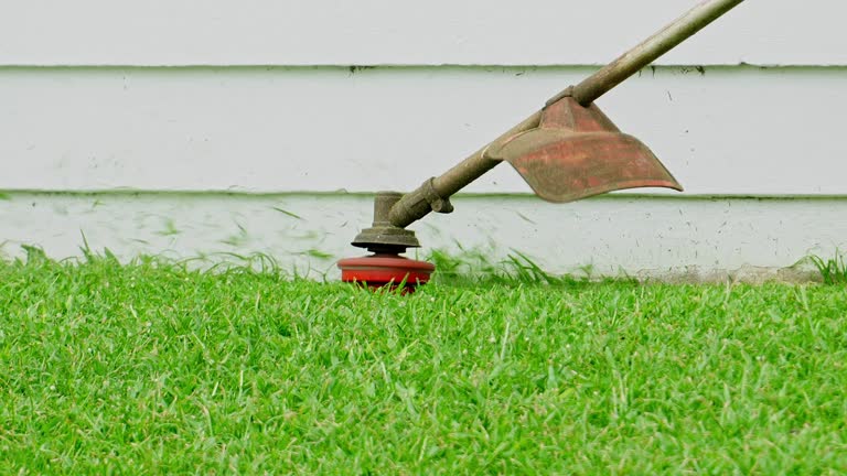 Best Seasonal Cleanup (Spring/Fall)  in Evanston, IL